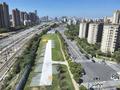 近两万平方米“城市伤疤”披上新“绿衣”