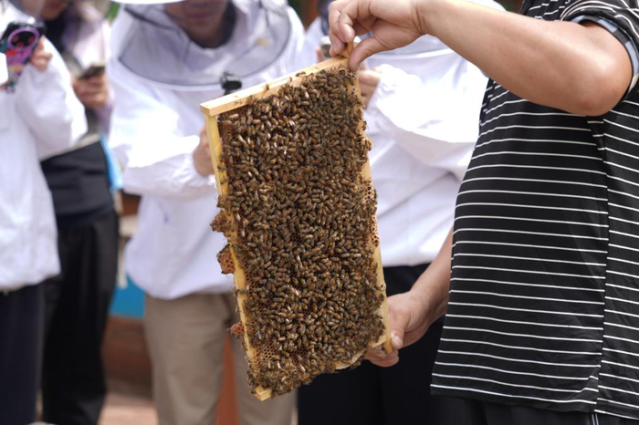 图为蜂农介绍沁水蜂蜜