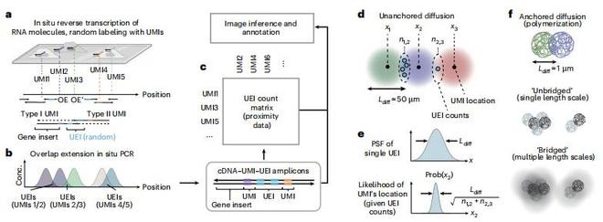 （来源：Nature Biotechnology）