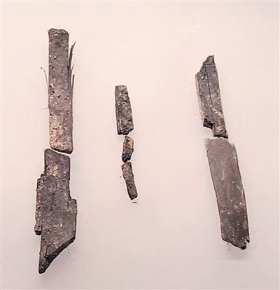 宝墩古城建筑基址出土的碳化竹片。刘裕国摄