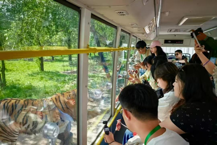 游客在惊险观光车中参观