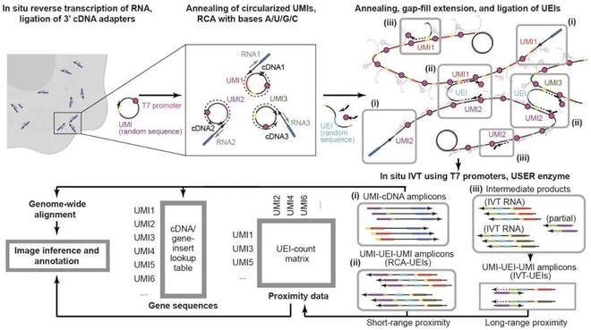 （来源：Nature Biotechnology）