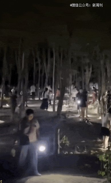 多地“抓猴”大军正在开展地毯式搜索。（图/短视频gif）