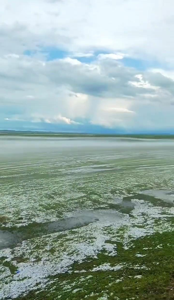 突降冰雹的呼伦贝尔草原（视频截图）