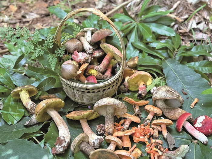 满载而归 朗尹淳 摄