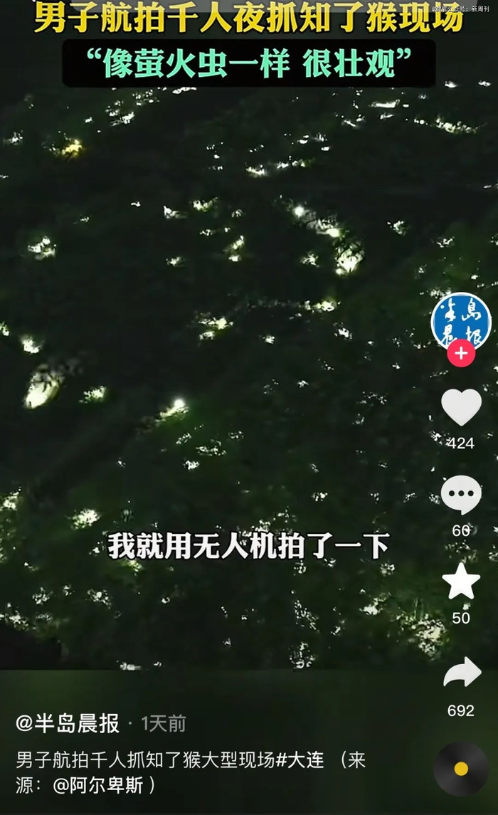 大型“捕猴”现场，好似萤火虫森林。（图/短视频截图）