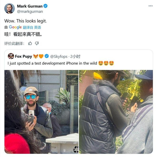 图源：X