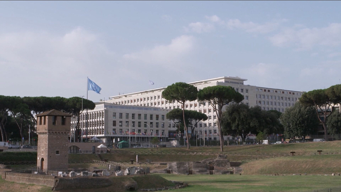 △联合国粮农组织总部（资料图）