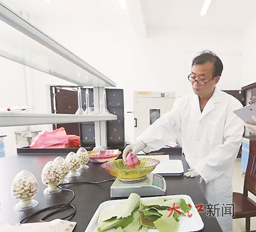 广昌县白莲研究所工作人员在对太空莲系列品种进行科研。曾恒贵摄