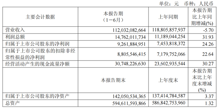 图源：华能国际2025年半年度报告