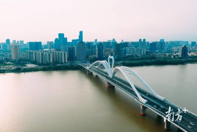 惠州鹅城大桥。
