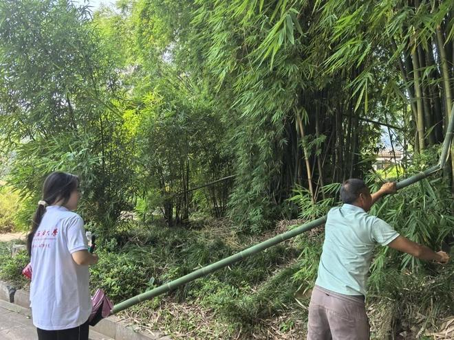  实践队和村民一起去砍竹子。（受访者供图）