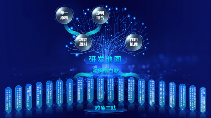 （图/五个女博士品牌研发地图）