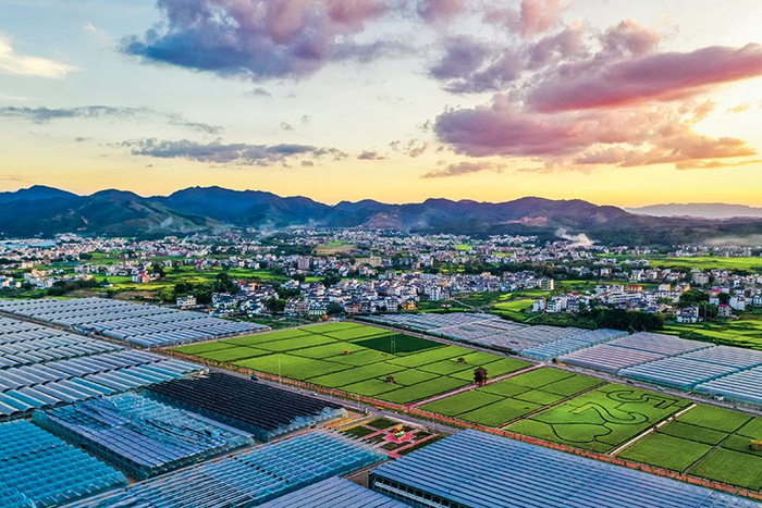 在江西赣州于都县梓山镇万亩富硒蔬菜产业园，一排排现代化蔬菜大棚整齐排列（资料照片）   刘玉平摄