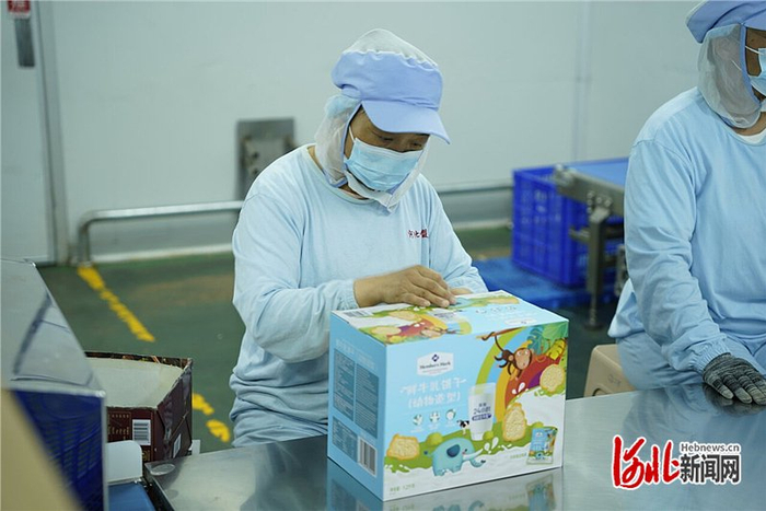 7月21日，位于邱县的河北味盟生物科技食品有限公司包装车间内，工人正在打包产品。 河北日报记者魏雨摄