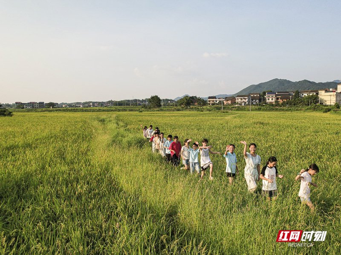 安仁县龙市中心小学的孩子们，向路人挥手问好，展露笑容。