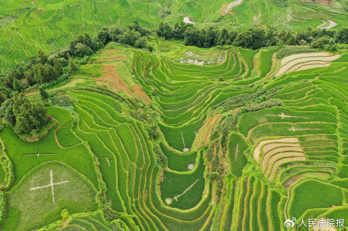 上下水田紧密相连，抬头不见低头见的邻里关系，就算有一时矛盾也会被无限绵延的农耕文明抹平。