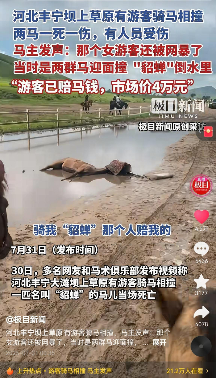 　　此前报道截图