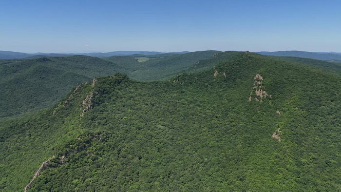 当年的密营地隐秘在这片山中