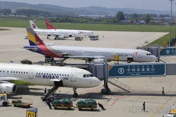 图片来源于中国民航网