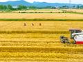 国网临夏供电公司全力保障夏收用电无忧