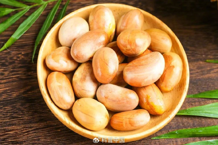 图库版权图片，转载使用可能引发版权纠纷