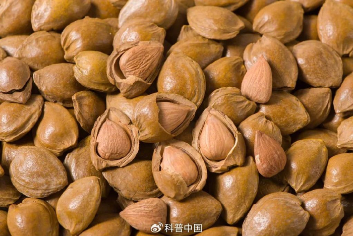 图库版权图片，转载使用可能引发版权纠纷