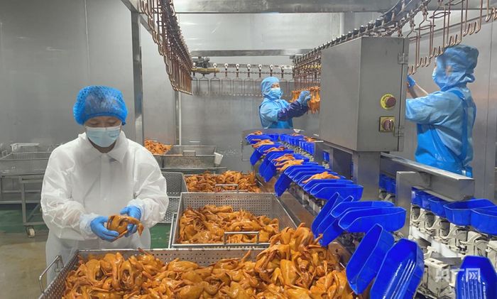 高速运转的肉鸽加工自动化生产线（央广网记者  张顺鹏  摄）