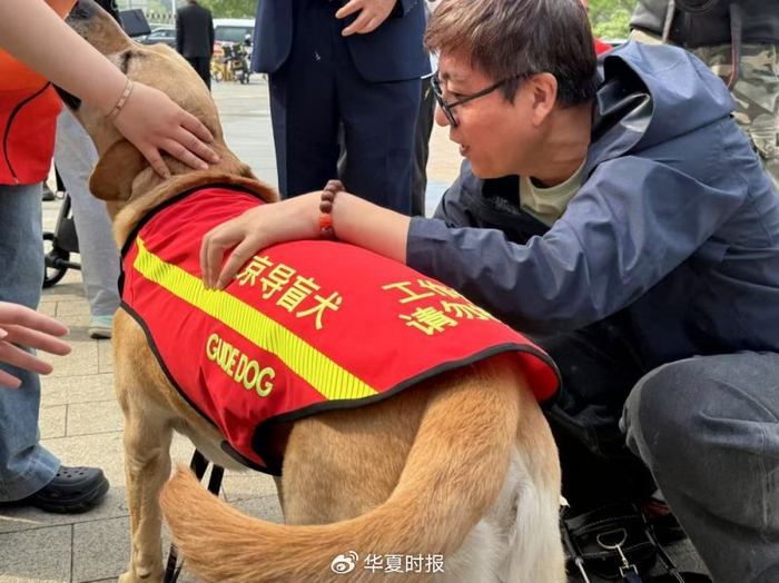 北京持证导盲犬可以进入公共场所、乘坐公共交通工具。
