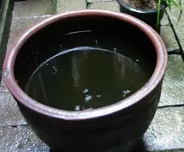 △存水的水缸