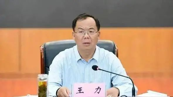 王力（资料图）。图源微信公众号“政知见”