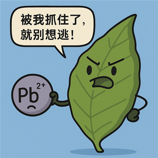 茶叶吸附到的重金属离子极难逃逸 （图片来源：引导AI绘制）