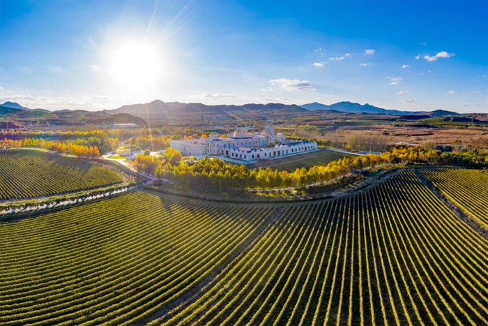 中国白兰地第一庄——可雅酒庄