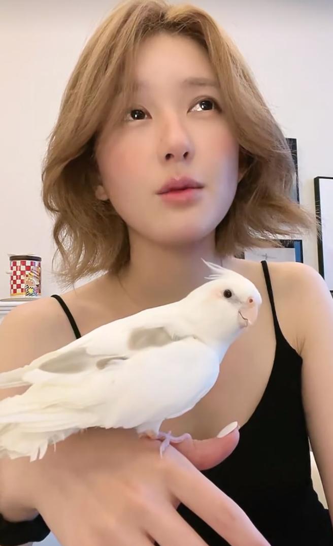 视频截图