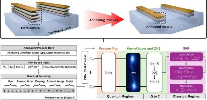 （来源：Advanced Science）