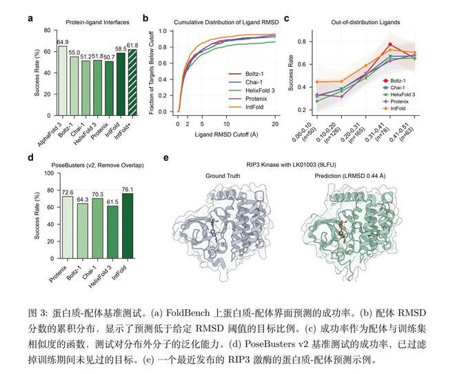 图源报告：《IntelliFold：一个用于通用和特化生物分子结构预测的可控基础模型》