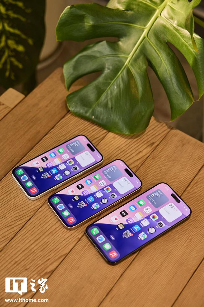 ▲ IT之家图赏：iPhone 16 系列手机