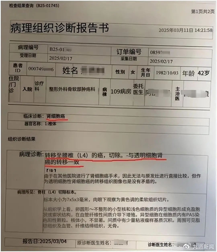 国外医院诊断书（翻译版）证明肾癌骨转移（当事人供图）