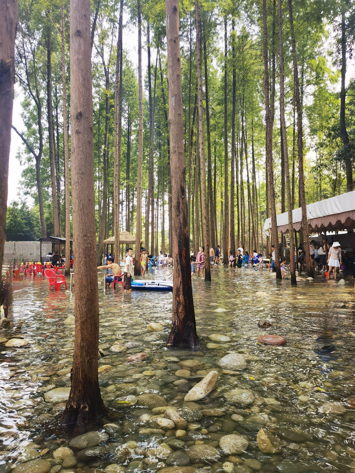 位于都江堰的猪圈咖啡农家乐，赶在天气最热的这几天上新“森林水乡”项目，周末日均客流近千人。陈碧红 摄