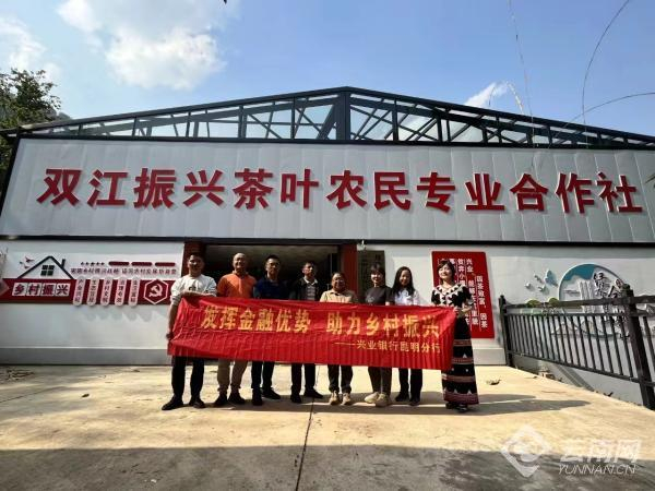 兴业银行昆明分行投入资金对茶叶初制加工厂进行升级改造