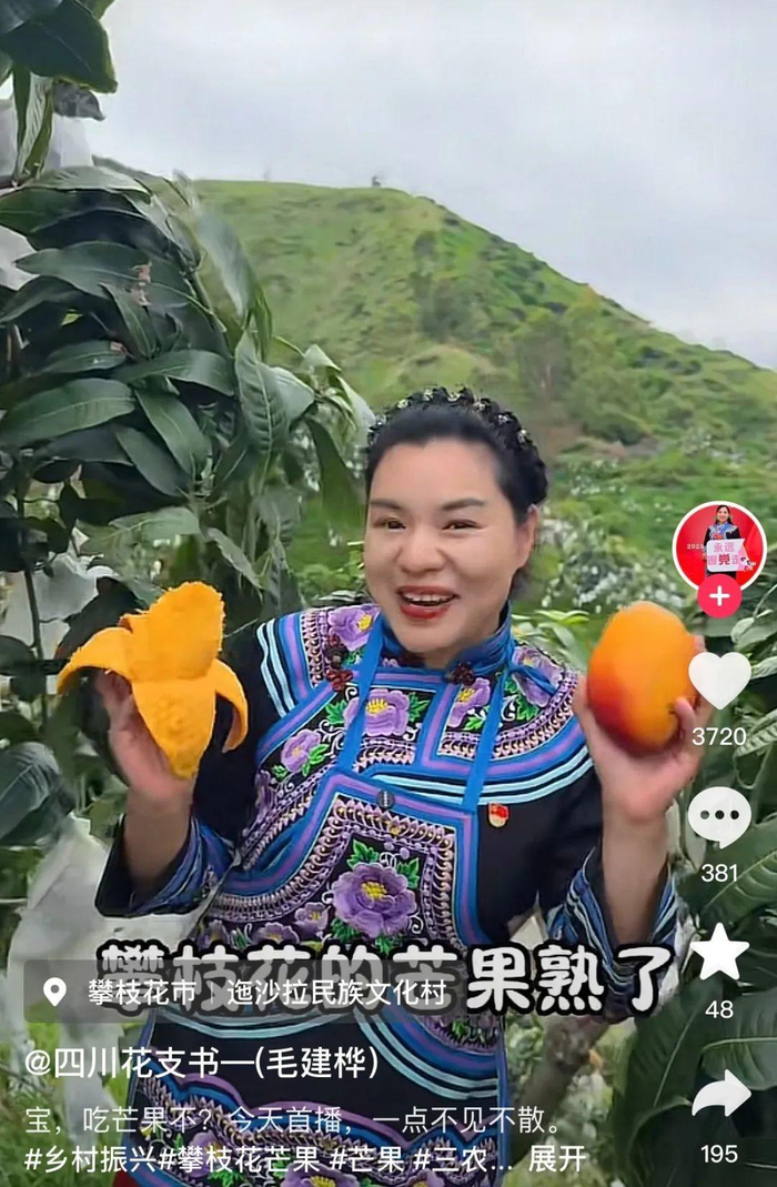 图｜ 推荐芒果的毛建桦