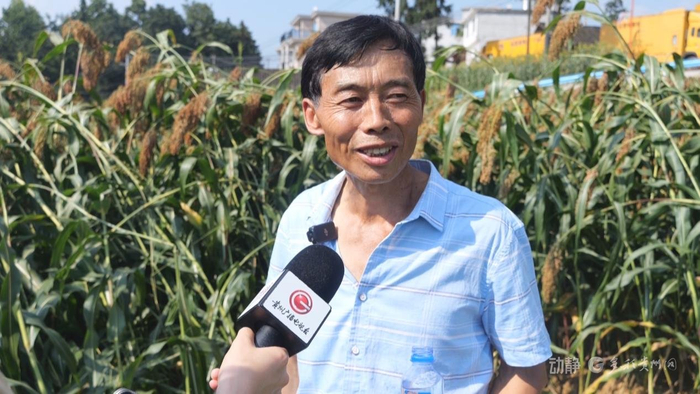 遵义市仁怀市长岗镇茅坡村村民 母应国