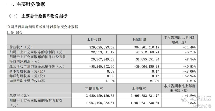 截图自佩蒂股份2025年一季度报