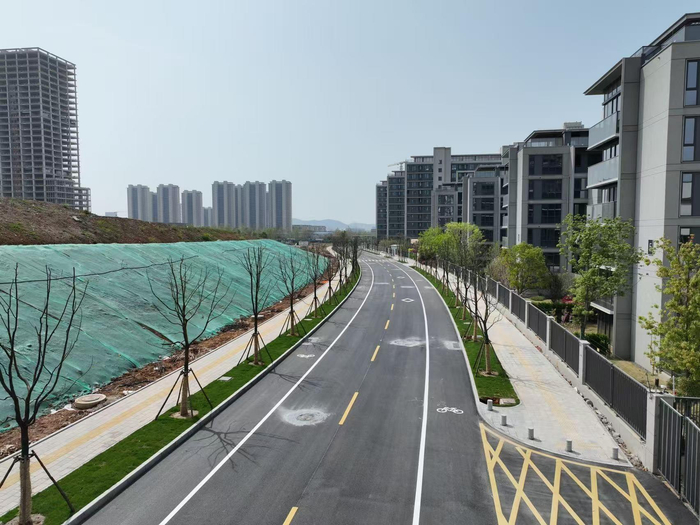 紫荷路。通讯员供图