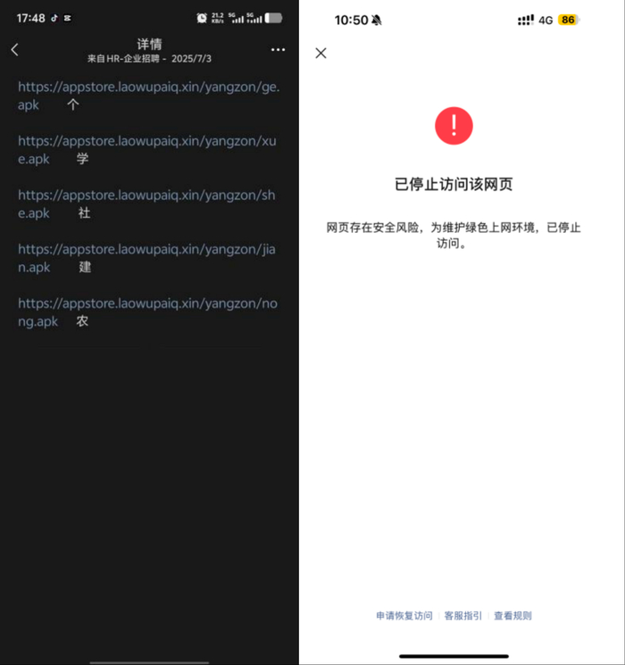 中介提供的造假网站。受访者供图