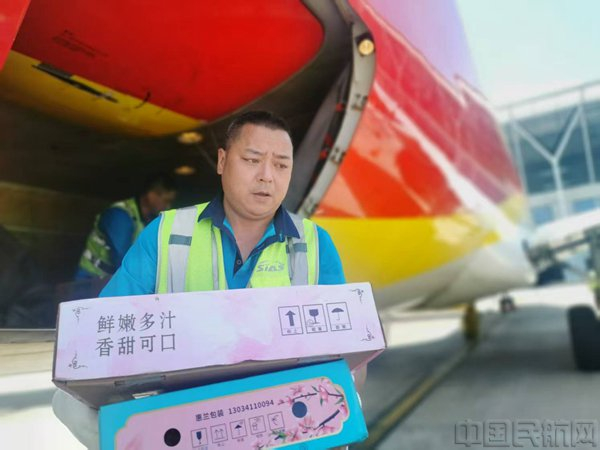 浦东机场机坪上，行李装卸员轻拿轻放，装卸行李