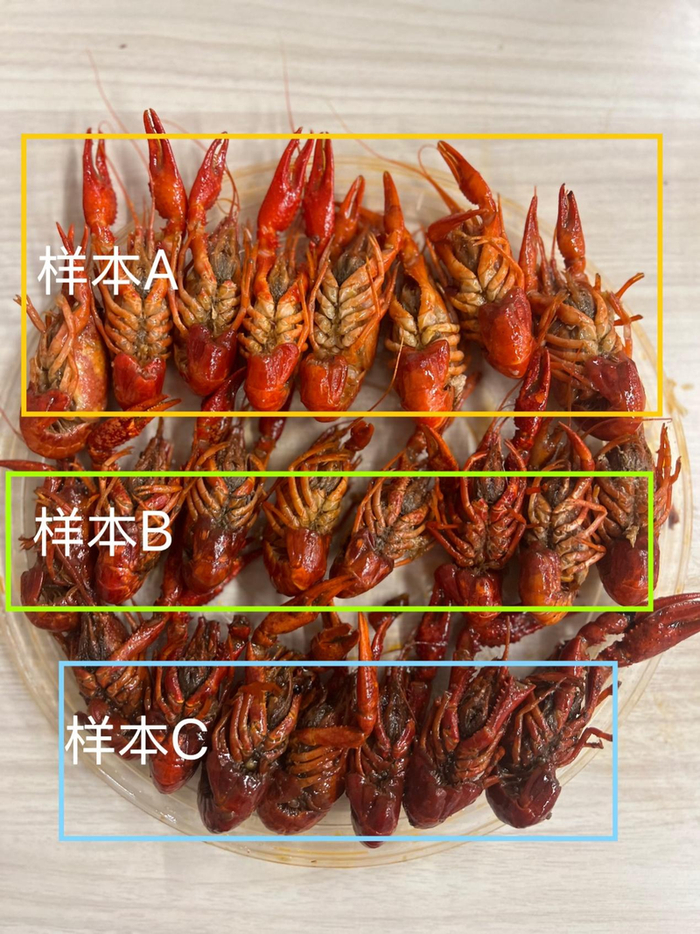 洁净度不一的麻辣小龙虾，由上至下依次来自三十三年大排档、靓虾、沪上虾煌。 新京报记者 王思炀 摄