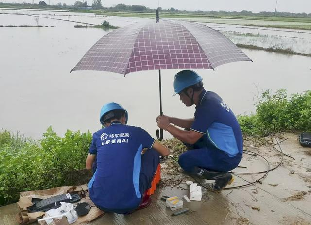中国移动广西公司网络工程师农田边融纤接断点复通信 苏裕远摄