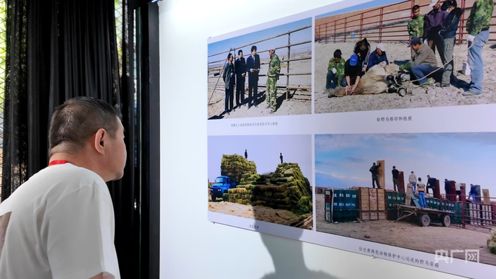 与会人员参观摄影展  （央广网发  高美慧子  摄）