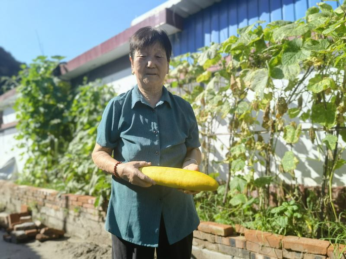 一位回村的村民，摘下长老的黄瓜。新京报记者 周怀宗 摄
